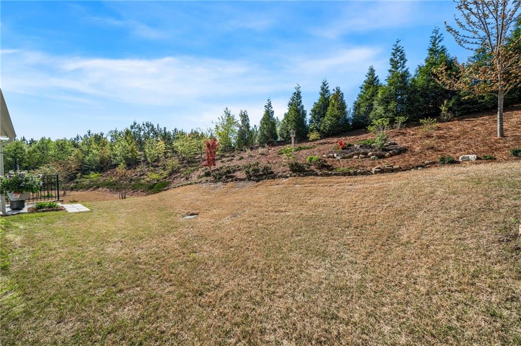 408 Windy Ridge Way, Canton, Georgia image 37