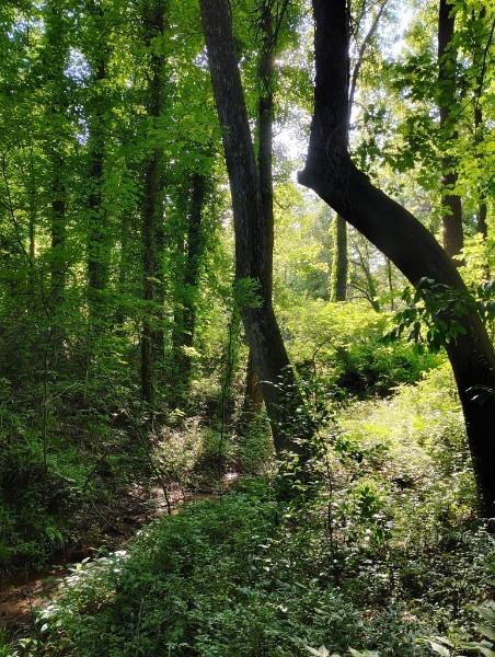 SE Fullbright Drive, Rome, Georgia image 13
