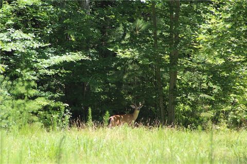 Vacant Land For Sale - 00000 Jumper Drive<br/> Ellijay, GA 30540