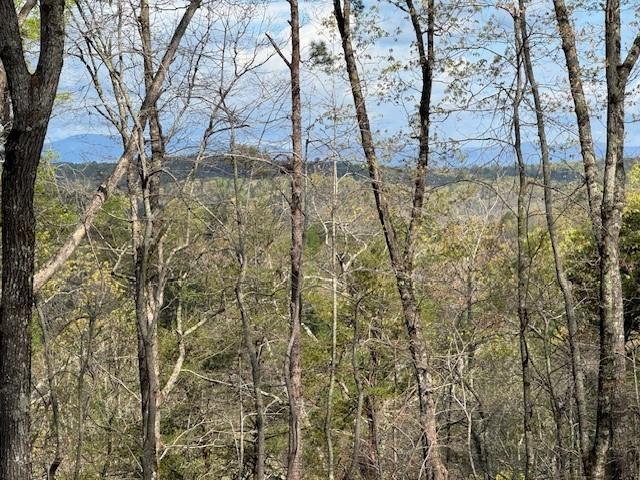 TRACT2 Panorama Drive, Dahlonega, Georgia image 1