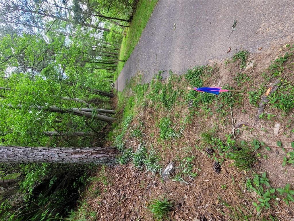 0 Lake Arrowhead Drive