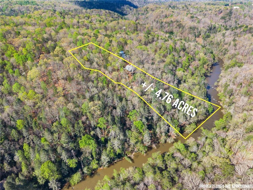 1530 Pecks Mill Creek Road Rd, Dahlonega, Georgia image 4