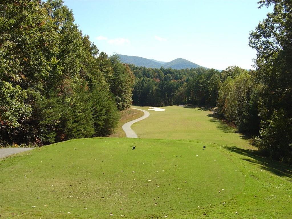 655 Etowah Drive, Ellijay, Georgia image 32