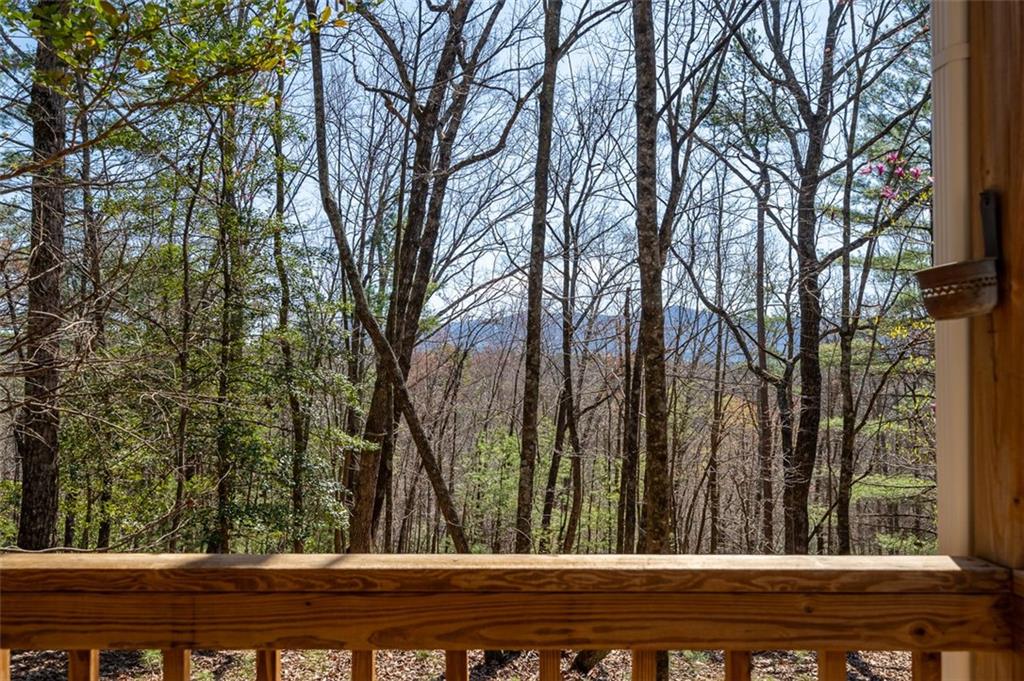 655 Etowah Drive, Ellijay, Georgia image 23