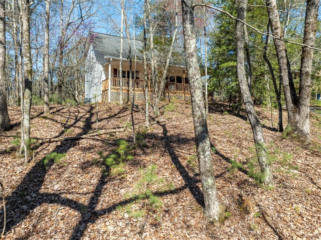 655 Etowah Drive, Ellijay, Georgia image 4