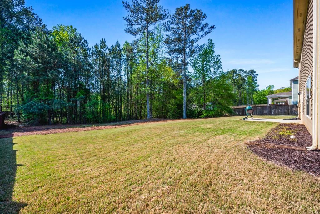 1041 Sweetwater Bridge Circle, Douglasville, Georgia image 40