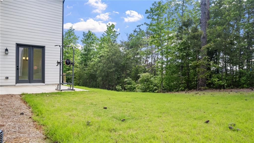 298 Tillman Pass, Woodstock, Georgia image 40