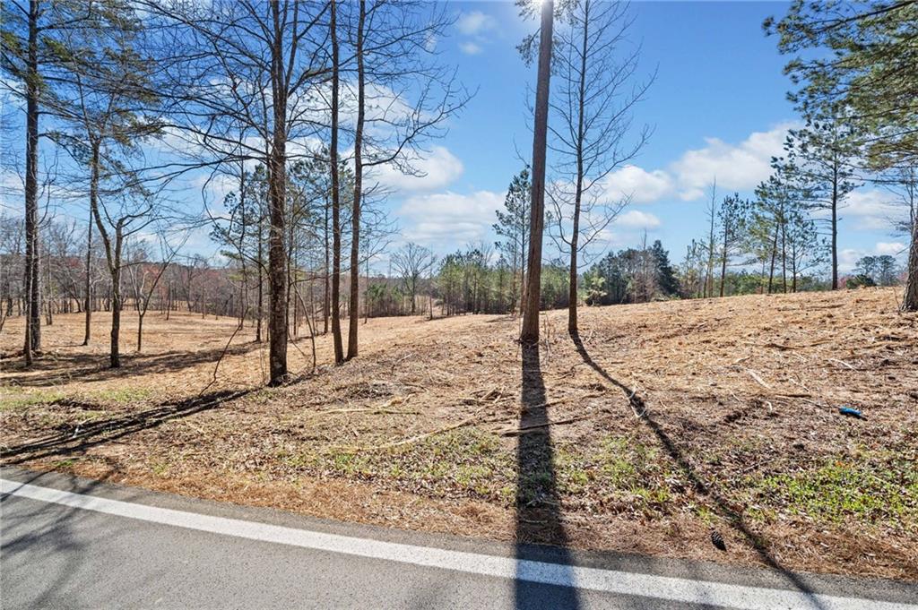 460 Mt. Olive Church Lane Ln, White, Georgia image 2