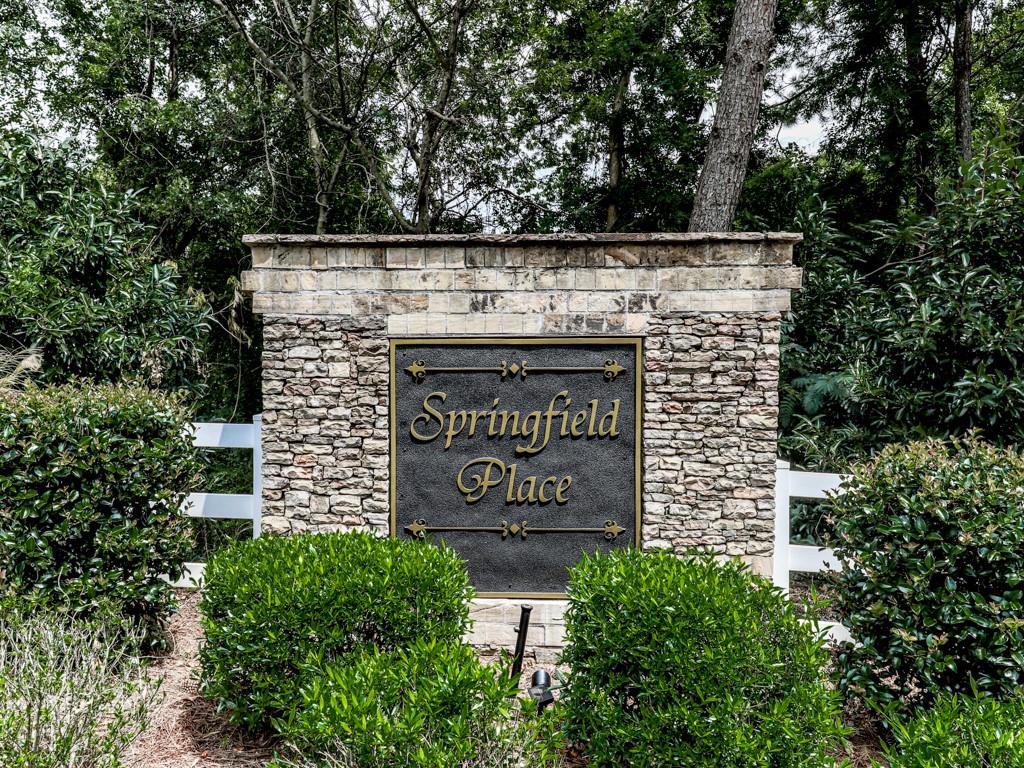 173 Springwater Trace, Woodstock, Georgia image 50