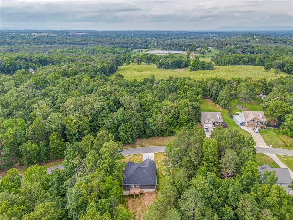 220 Talon Drive, Rydal, Georgia image 9