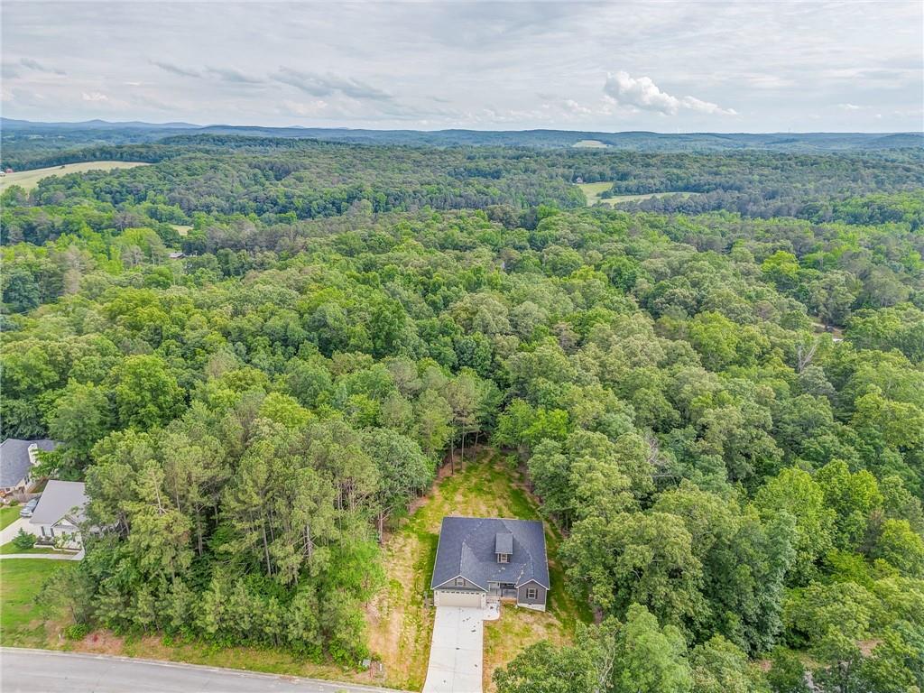 220 Talon Drive, Rydal, Georgia image 8