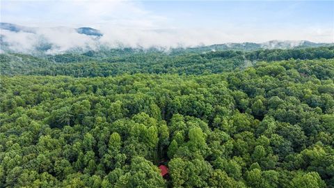 A home in Blue Ridge