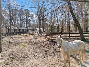 428 Dogwood Drive