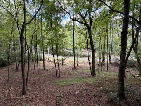 Vacant Land For Sale - 133 Seneca Drive<br/> Gilmer County, Ellijay, GA 30540