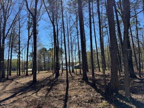 Vacant Land For Sale - County Rd 131<br/> Cherokee County, Centre, AL 35960