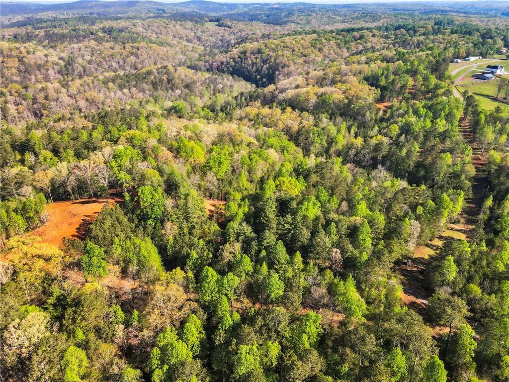 001 Swan Bridge Road, Talking Rock, Georgia image 2