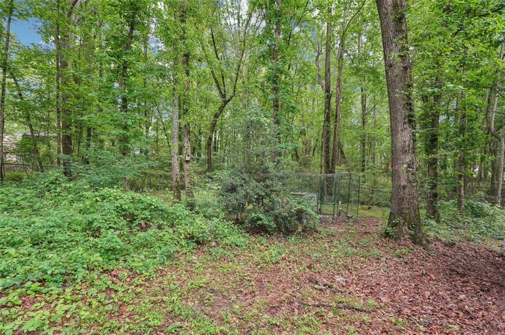 2297 Herring Woods Way, Grayson, Georgia image 25