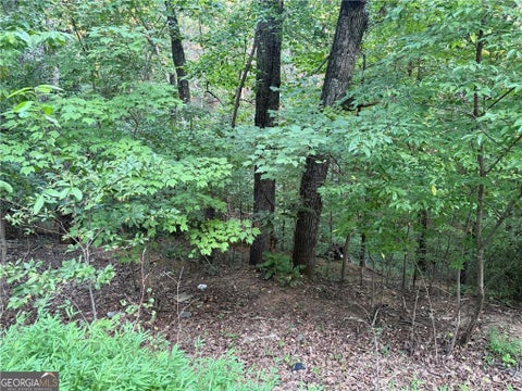 Vacant Land For Sale - 2333 Ford White Road<br/> Gainesville, GA 30506