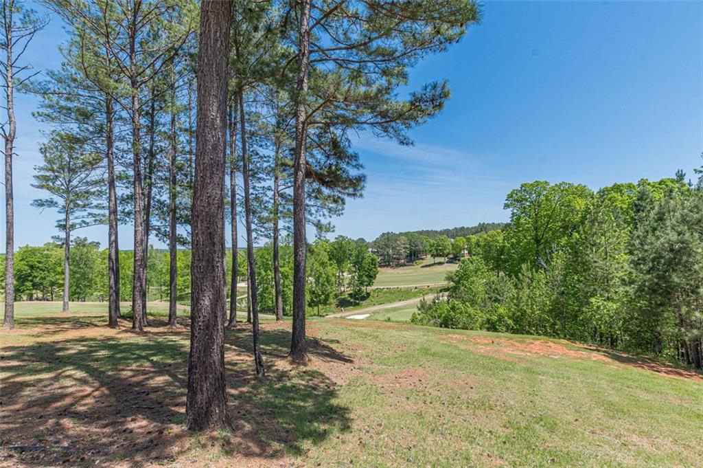 111 Forest Overlook Drive, Forsyth, Georgia image 12
