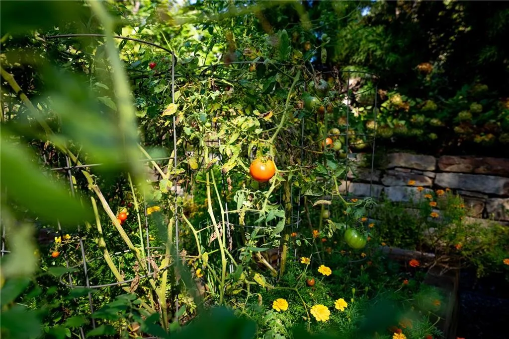 Marietta, Georgia 30066, United States, 6 Bedrooms Bedrooms, ,6 BathroomsBathrooms,Residential,Active,110480