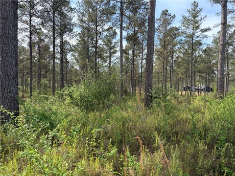 Vacant Land For Sale - Bluff Stone Trace<br/> Cobb County, Marietta, GA 30066