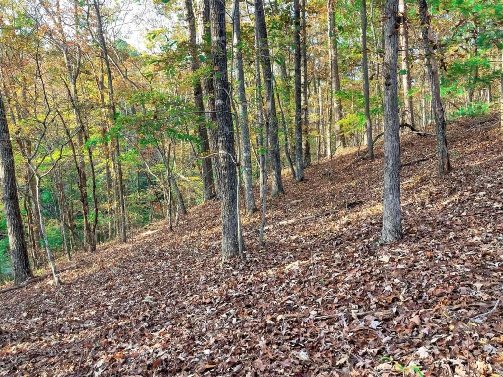 LOT 23 Fox Trail Court, Talking Rock, Georgia image 7