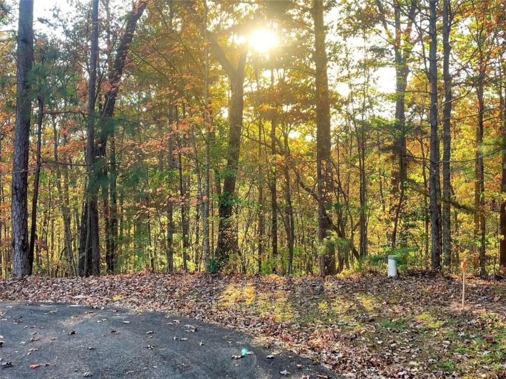 LOT 23 Fox Trail Court, Talking Rock, Georgia image 4