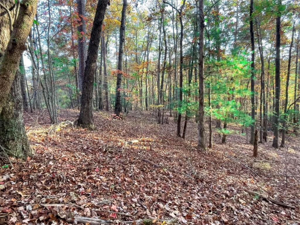 LOT 23 Fox Trail Court, Talking Rock, Georgia image 3