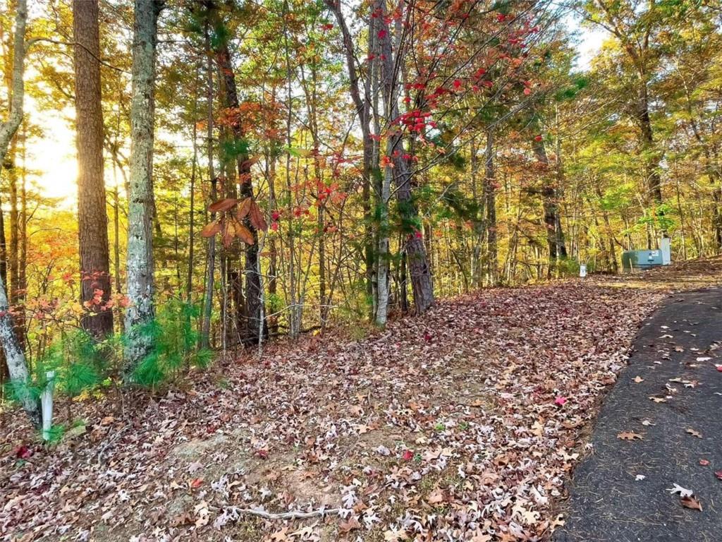 LOT 23 Fox Trail Court, Talking Rock, Georgia image 1