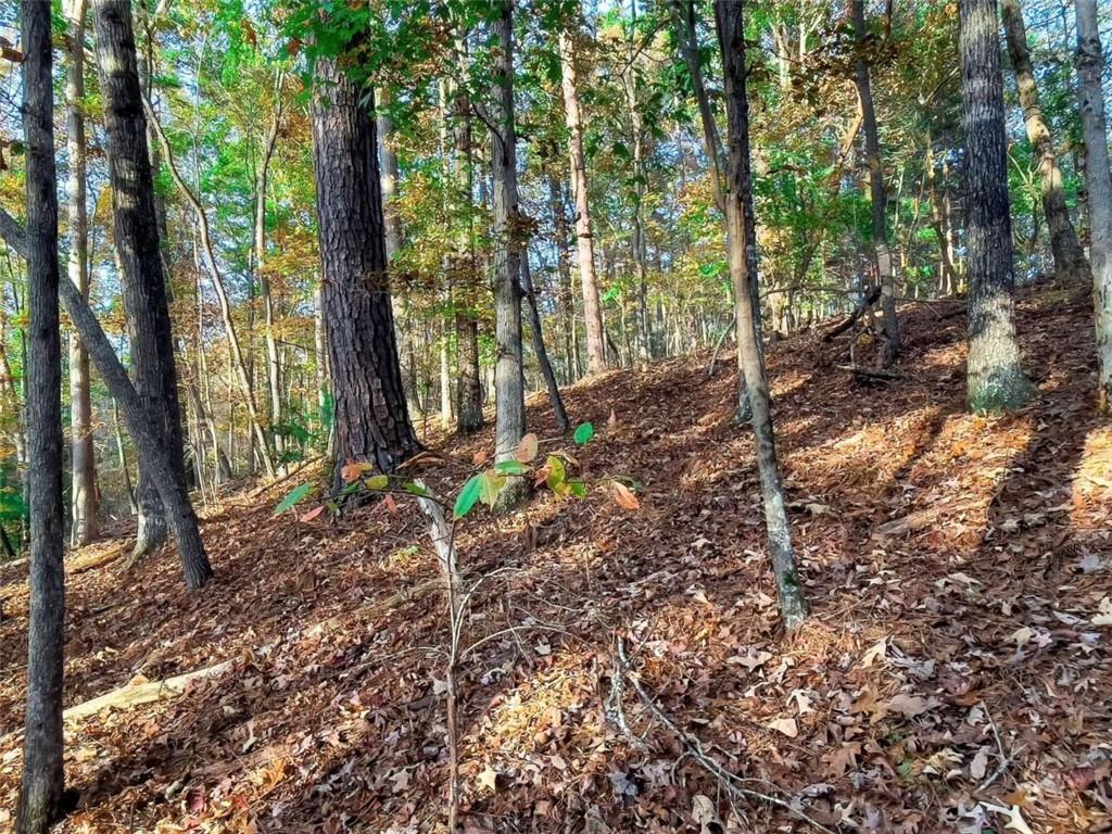 LOT 23 Fox Trail Court, Talking Rock, Georgia image 6