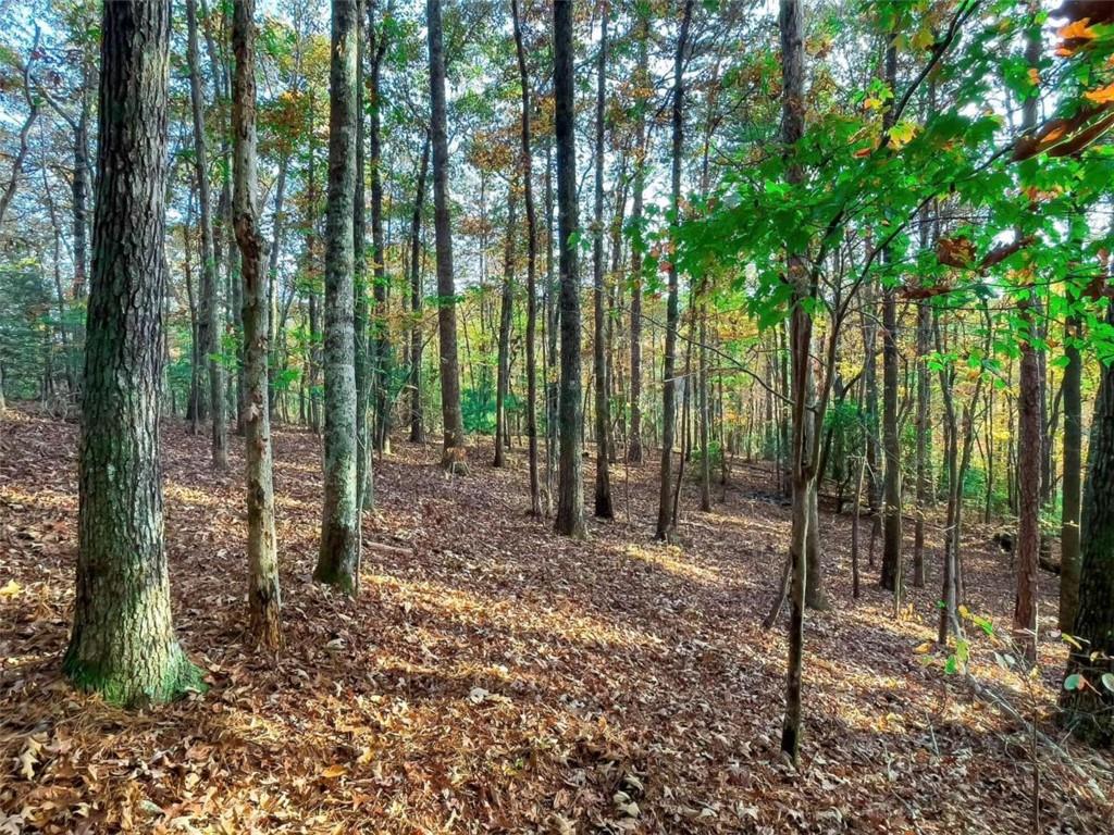 LOT 23 Fox Trail Court, Talking Rock, Georgia image 2