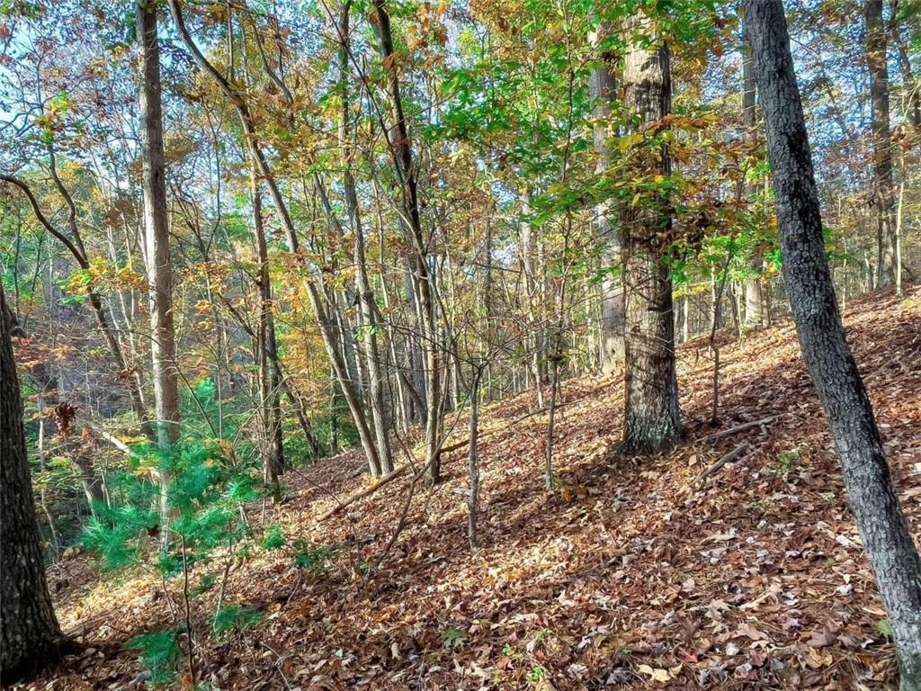 LOT 23 Fox Trail Court, Talking Rock, Georgia image 15