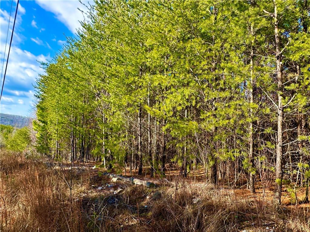 E Valley Road, Rydal, Georgia image 26