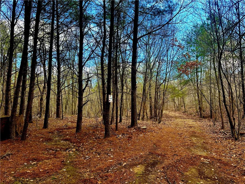 E Valley Road, Rydal, Georgia image 5