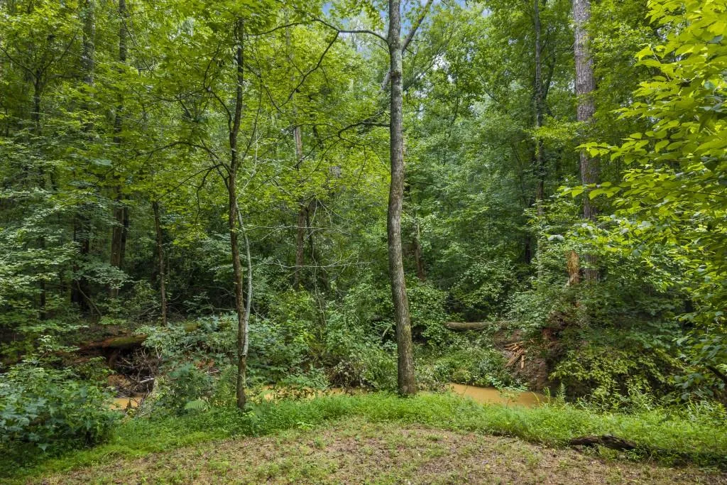 Buford, Georgia 30519, United States, 5 Bedrooms Bedrooms, ,4 BathroomsBathrooms,Residential,Active,179245