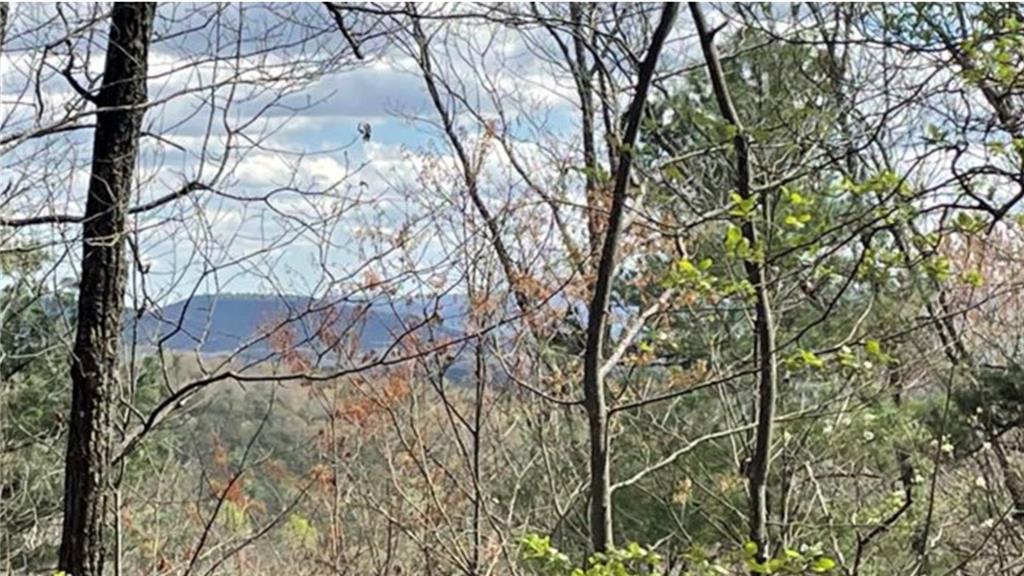 Lot 17 Abbott Mill