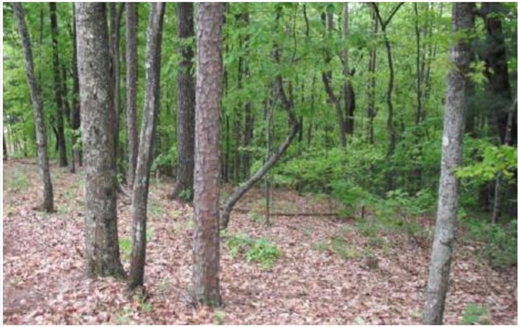 Lot 17 Abbott Mill