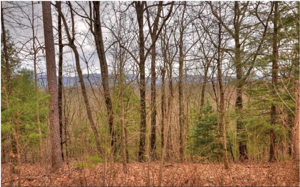 Lot 17 Abbott Mill