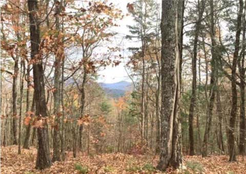 Vacant Land For Sale - LOT 17 Abbott Mill<br/> Ellijay, GA 30540