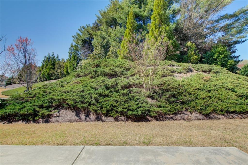 1040 Peyton View Court, Alpharetta, Georgia image 42
