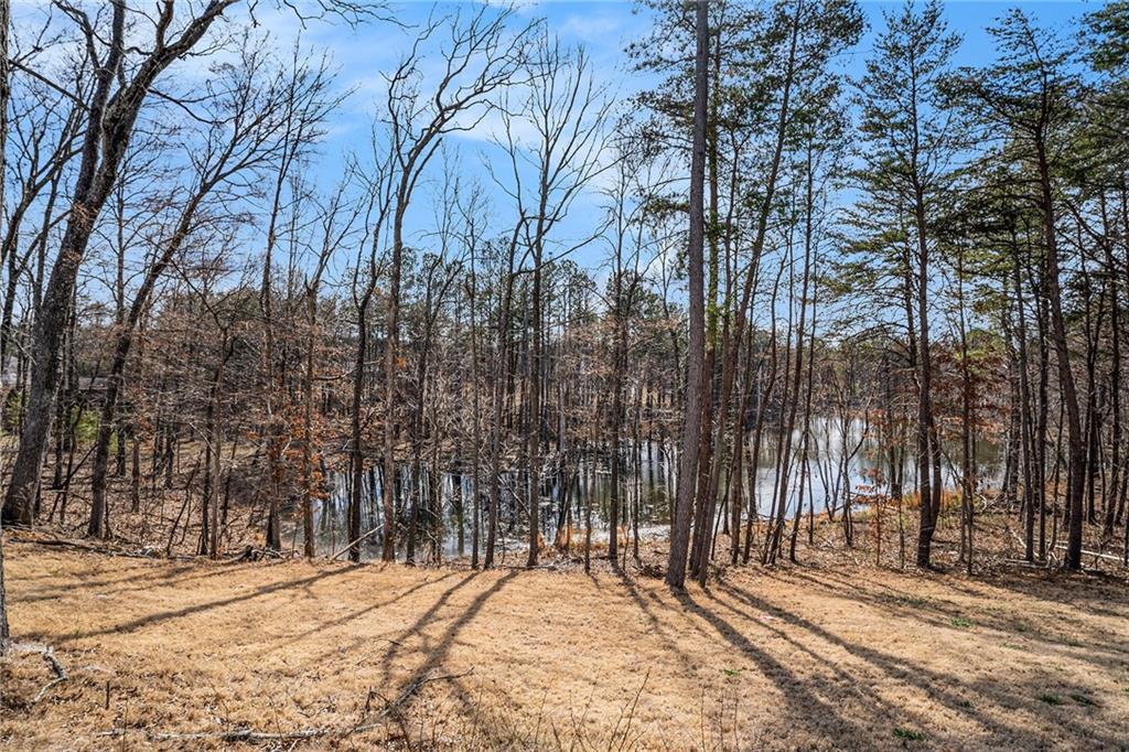 18 Village Trace, Rydal, Georgia image 28