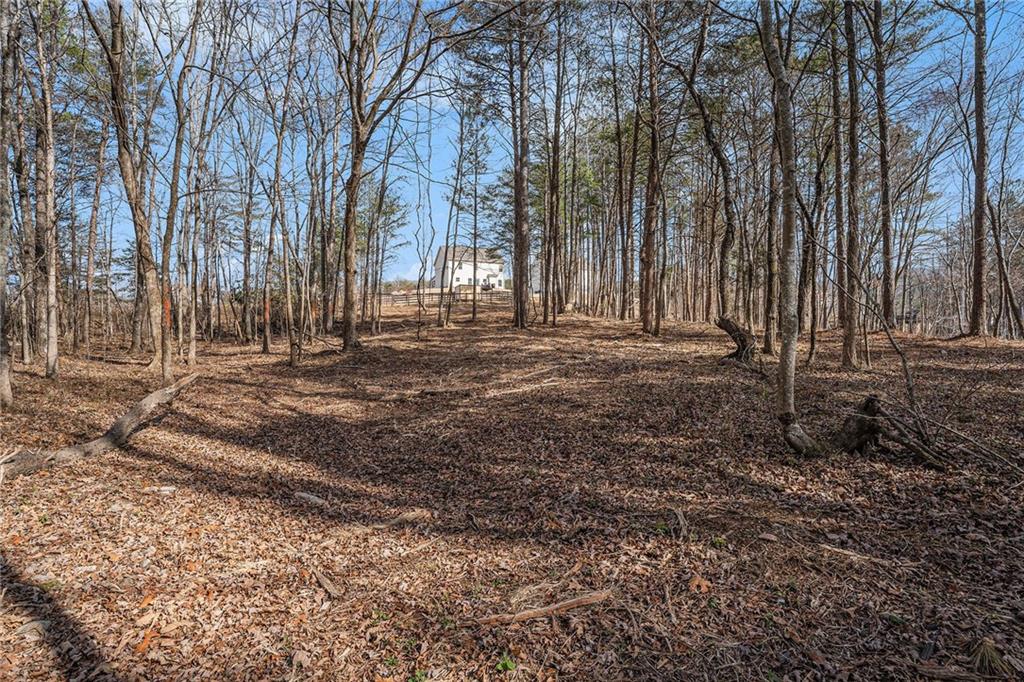 18 Village Trace, Rydal, Georgia image 29