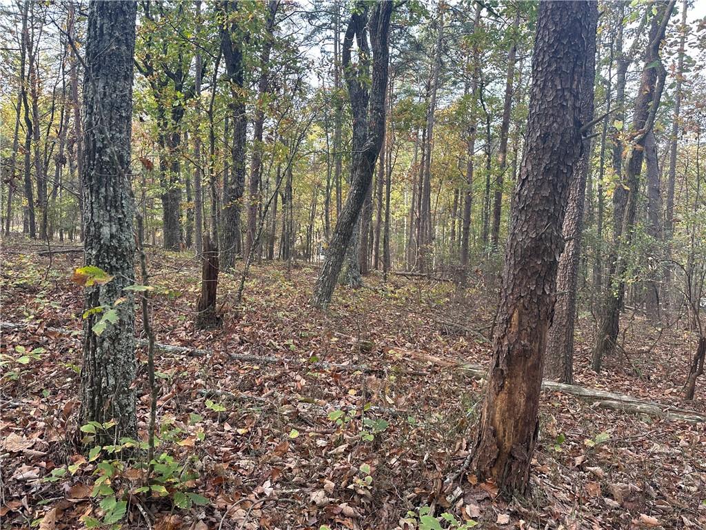 N/a Mulberry Circle, Jasper, Georgia image 7