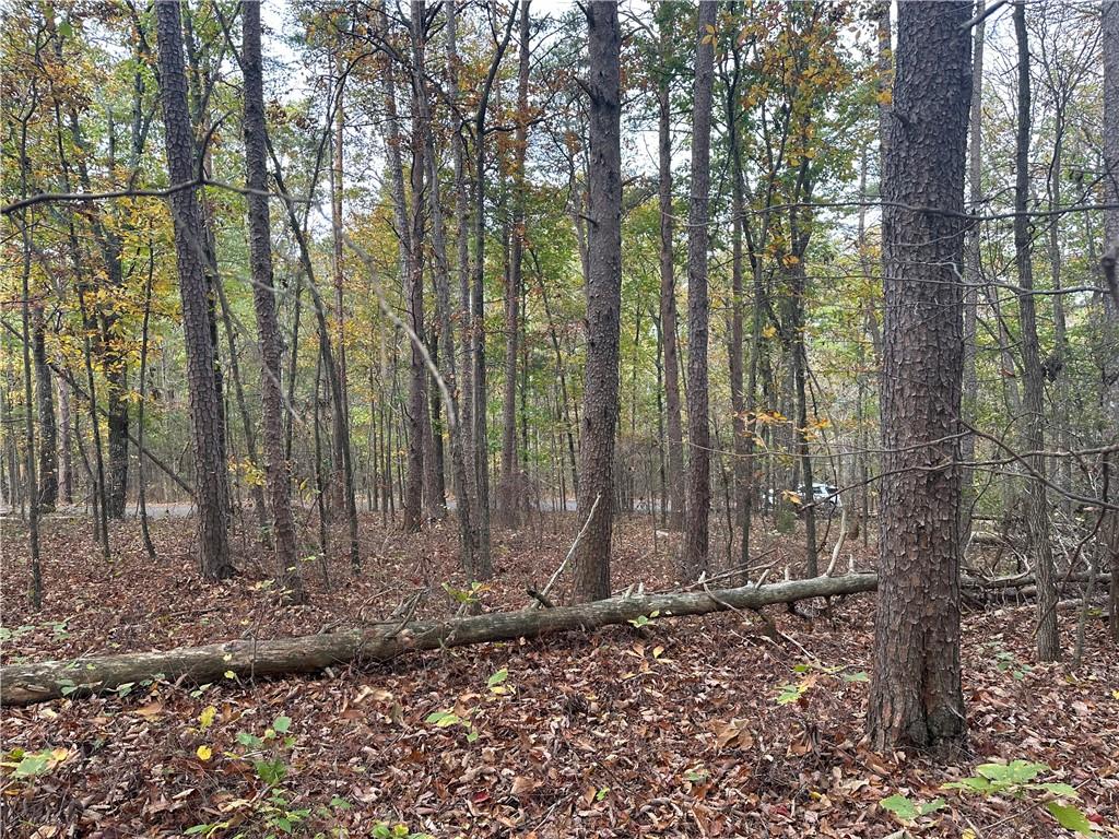 N/a Mulberry Circle, Jasper, Georgia image 9