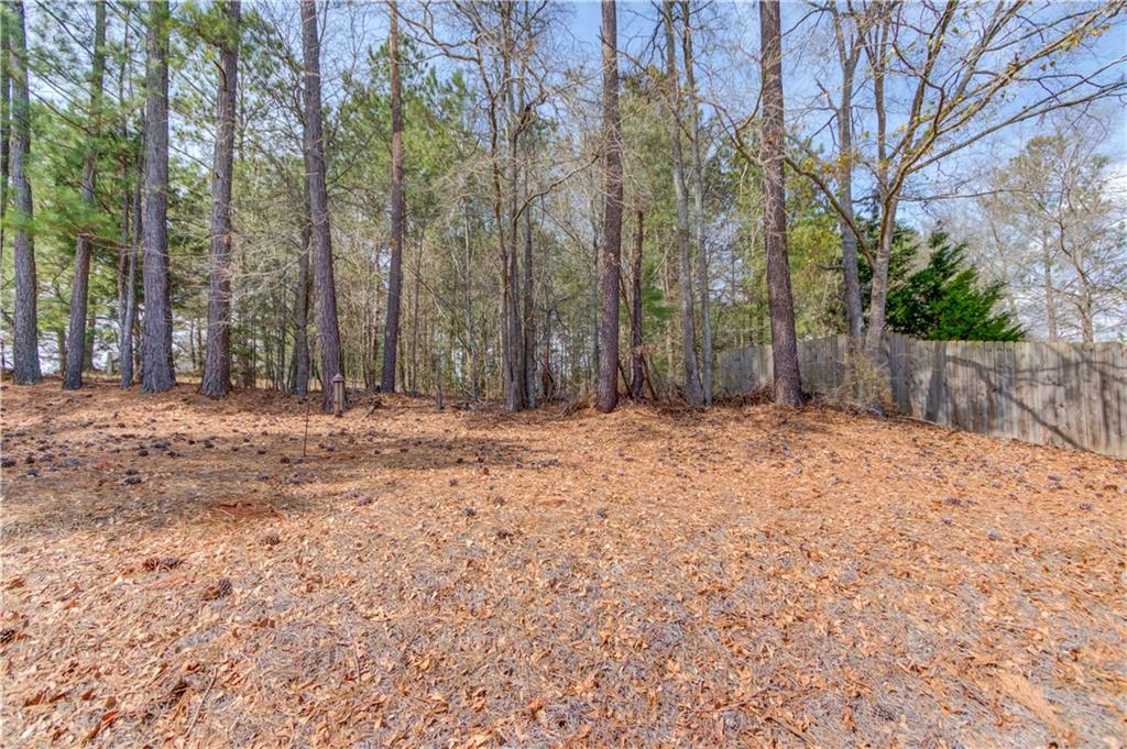 1218 Shiva Boulevard, Winder, Georgia image 39