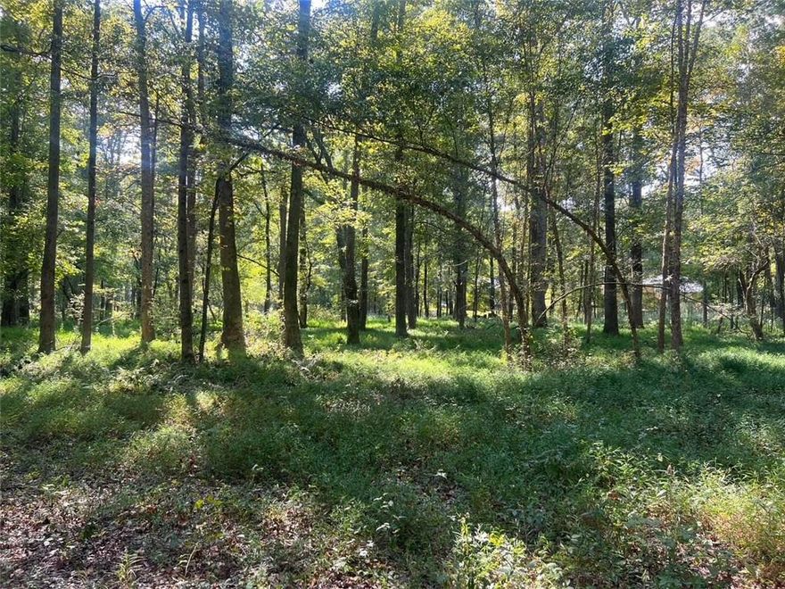 Discover 10.14 acres of pristine land in the heart of Marietta, beautifully bordered by Ollie Creek. This rare property offers a prime location just minutes from Truist Park, The Battery, and I-75, blending convenience with natural serenity. For the discerning buyer, it’s the perfect canvas to design and build a custom estate home with the ambiance of a private, wooded retreat teeming with wildlife. For local builders or developers, the acreage provides an exceptional opportunity to create a thoughtfully planned, boutique community with excellent access to Atlanta’s major corridors, shopping, dining, and entertainment. With its combination of privacy, beauty, and convenience, this property offers unlimited potential for the right vision.