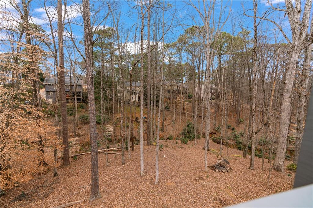 2590 Runic Way, Johns Creek, Georgia image 27