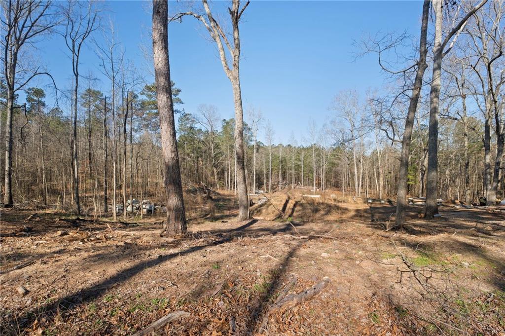 3308 Old Highway 138, Conyers, Georgia image 8