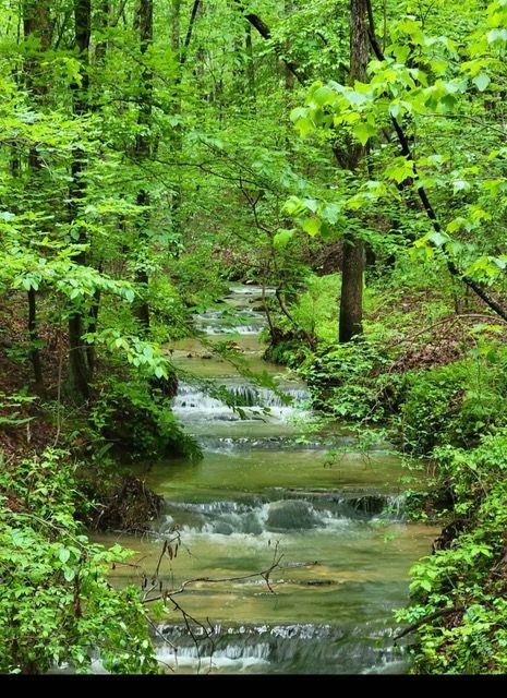 2 Brushy Mountain Road, Rockmart, Georgia image 1