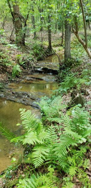 2 Brushy Mountain Road, Rockmart, Georgia image 6